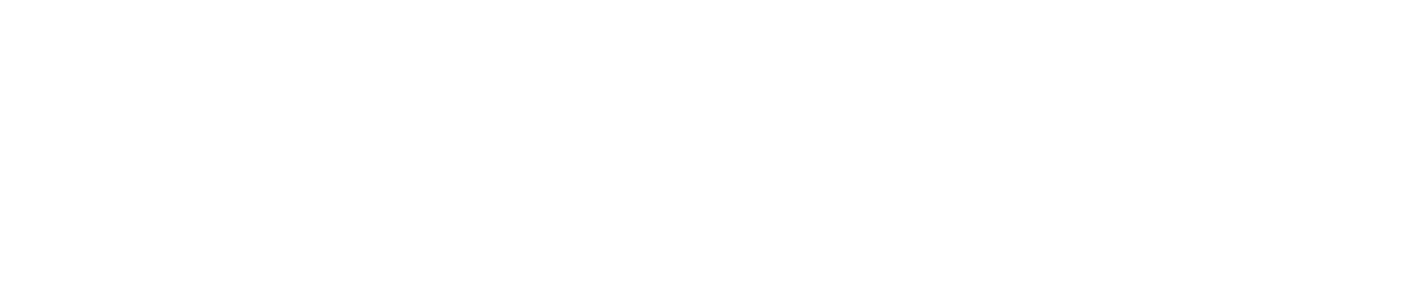 LOGO DJ NETWORK | blanc Logo société - DJ NETWORK